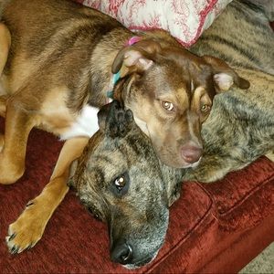 Meet your Posher, Joni